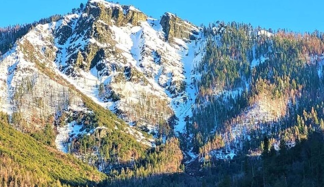 Sequoia Trails - Trees, Mountain Adventure and A/C
