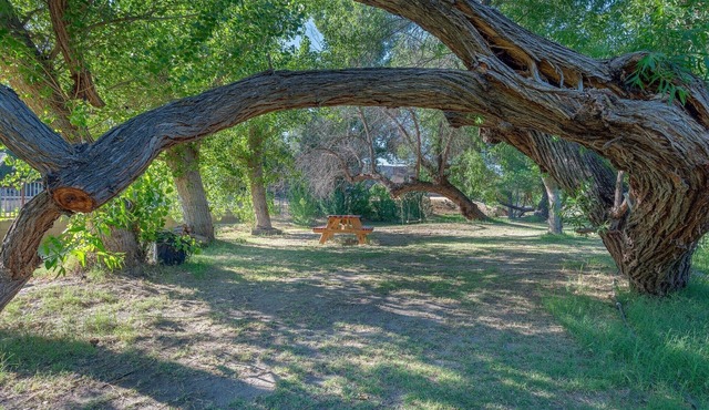Serene Waterfront Getaway-Relax by the River