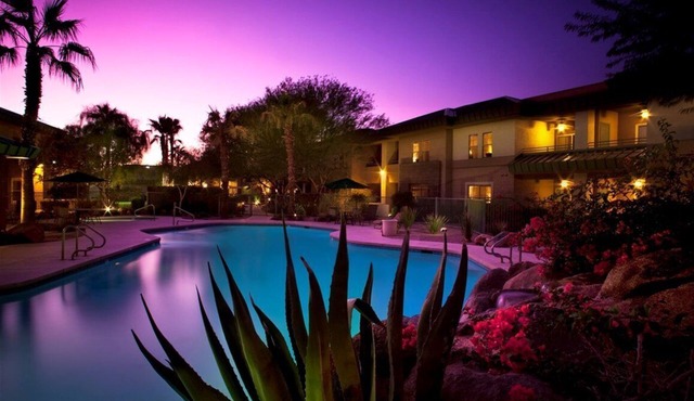 Sonoran Desert makes a perfect backdrop!