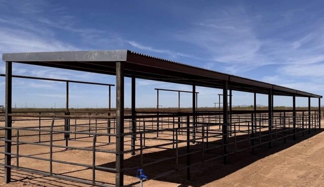 Spacious 4-bedroom house with up to 4 stalls for your horses. 1W26848n