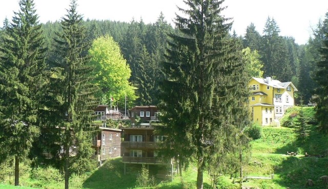 Spacious, idyllically situated vacation home in the forest in Großbreitenbach