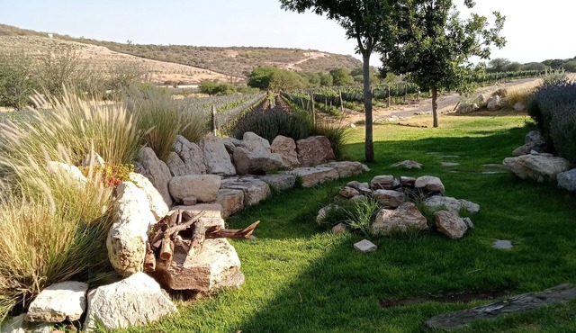Spectacular house surrounded by vineyards, ideal to enjoy with family or friends.
