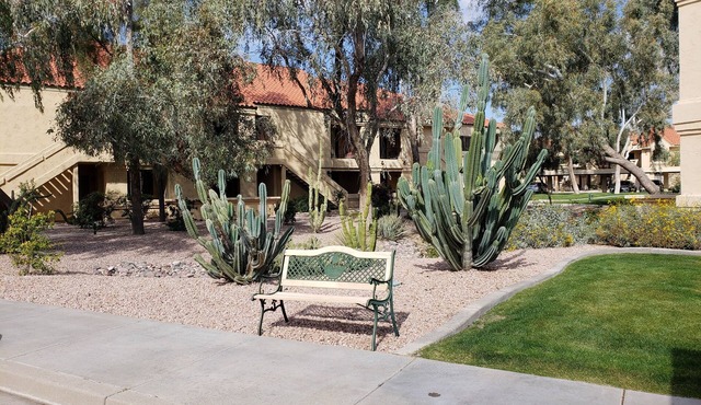 Spring Training, Tennis, Golf, or Relaxation, this is your happy place.