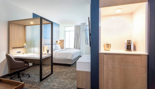 SpringHill Suites by Marriott Minneapolis Maple Grove/Arbor Lakes