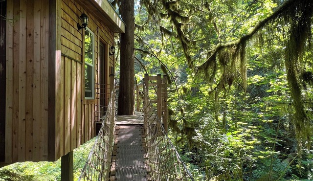Squamish Tree House in Brackendale