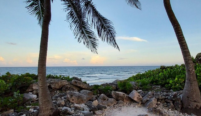 Stylish Jungle Condo, Walking Distance to Beach