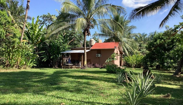 Sunbeam, two bedrooms, AA, Starlink, rustic pool, gardens, orchard.