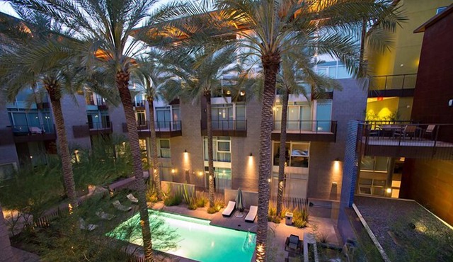 Sunny Scottsdale Safari