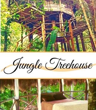 Sweet Jungle Dreams - Exclusive Treehouse and Cenote