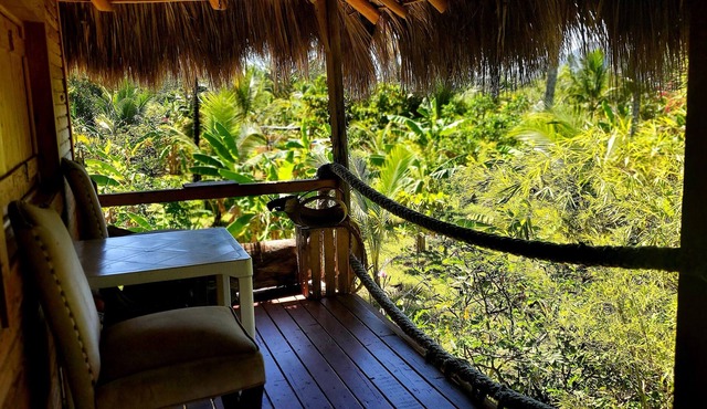 Tabachin Eco-Cabaña is a private oasis.