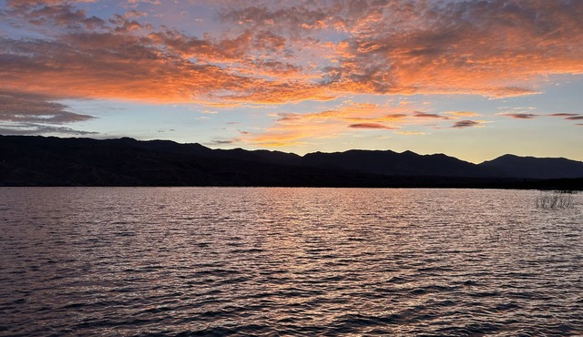 The Eagle Perched at Roosevelt Lake