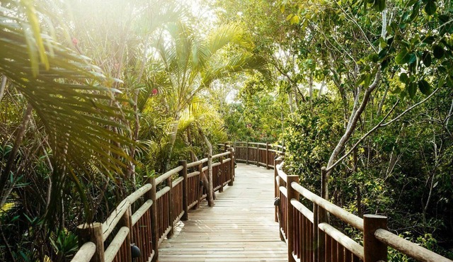 The Grand Mayan at Vidanta Riviera Maya