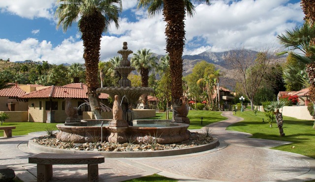 The Oasis