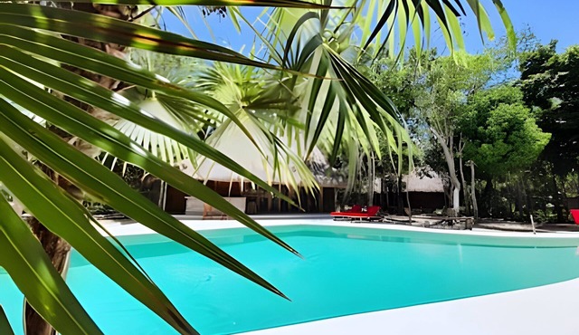 Tierra Verde - Xpu-Ha- Jungle and Beach