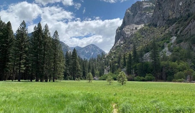 Tiny Cottage for 2 near Kings Canyon National Park with EV Charging. in Squaw Valley