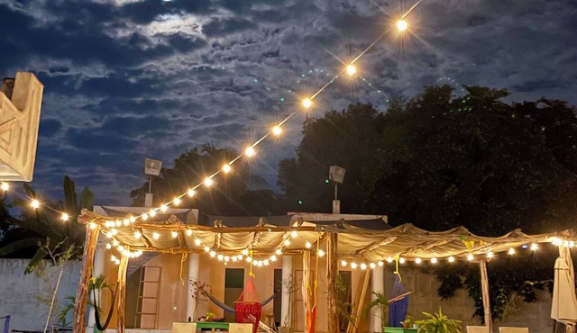 TREEBU HOSTEL