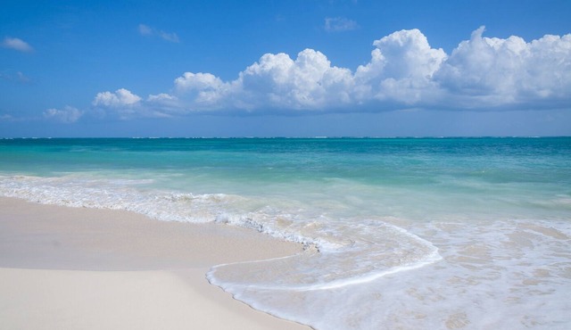 Tulum Eco chic Villa with Private Beachfront 6BR
