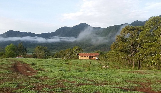 Unique ecological home in the mountains overlooking a lake.