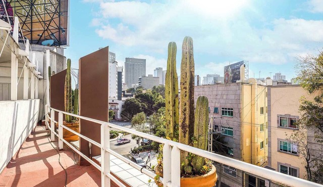 Upscale Polanco | Steps to Metro, Dining & Parks