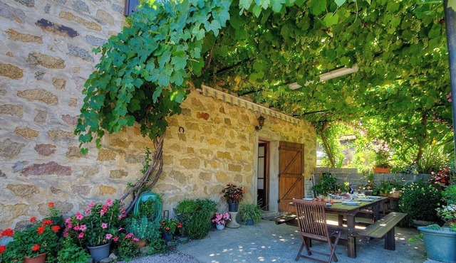 Vacations with family and friends in the countryside