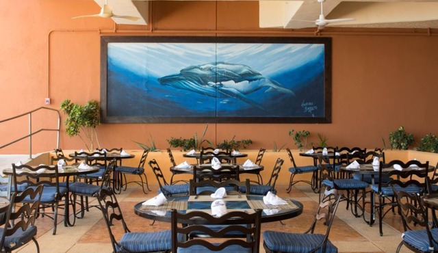 Vibrant Studio Stay Near the Best of Cabo