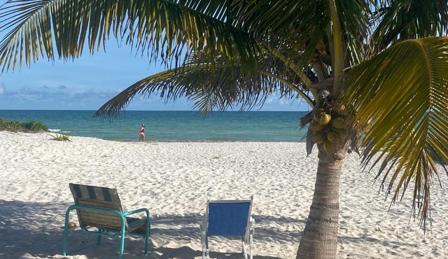 Villa Gaviotas el cuyo beach