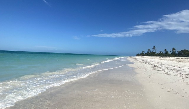 Villa Holbox The Island Holbox