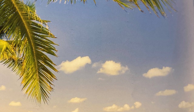 Villa La Valencia Beach and Resort