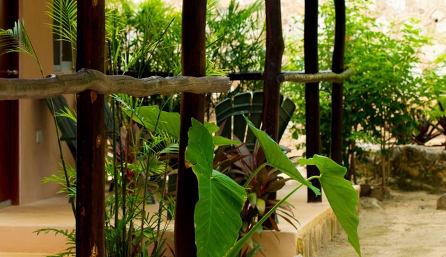 Villa Tortugas