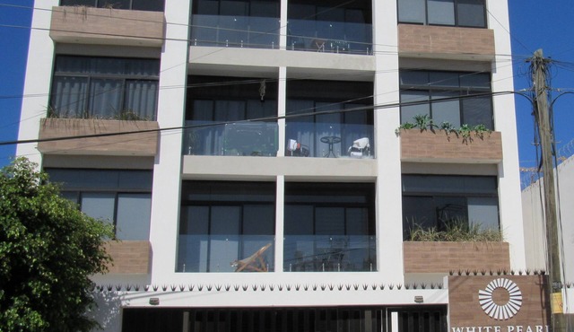 White Pearl Condo, Elevator, Roof-Top, Pool, Beach,Security, Centro,conveniences