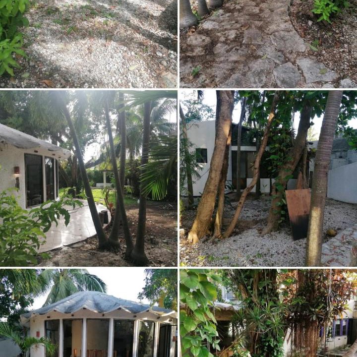 Alfredo V. Bonfil House | Bungalow relax