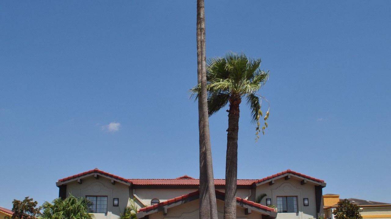 Photo of Buildings in Harlingen