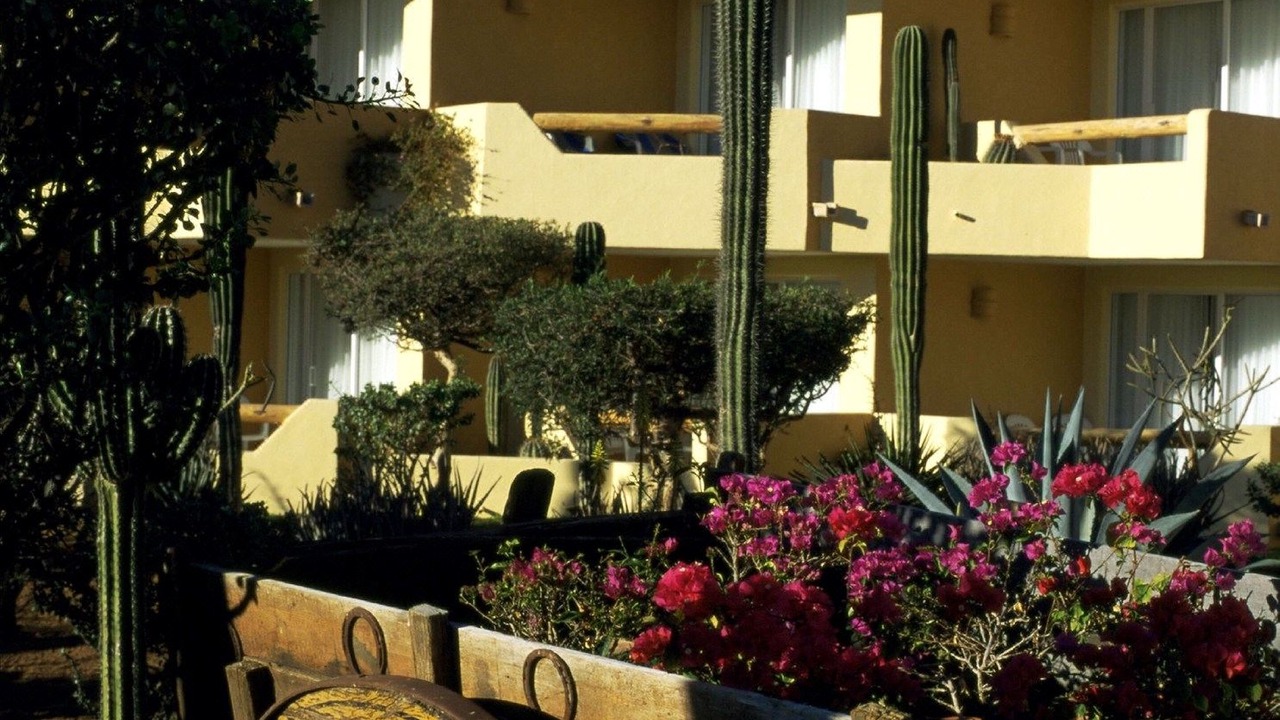 Photo of Others in Zona Hotelera
