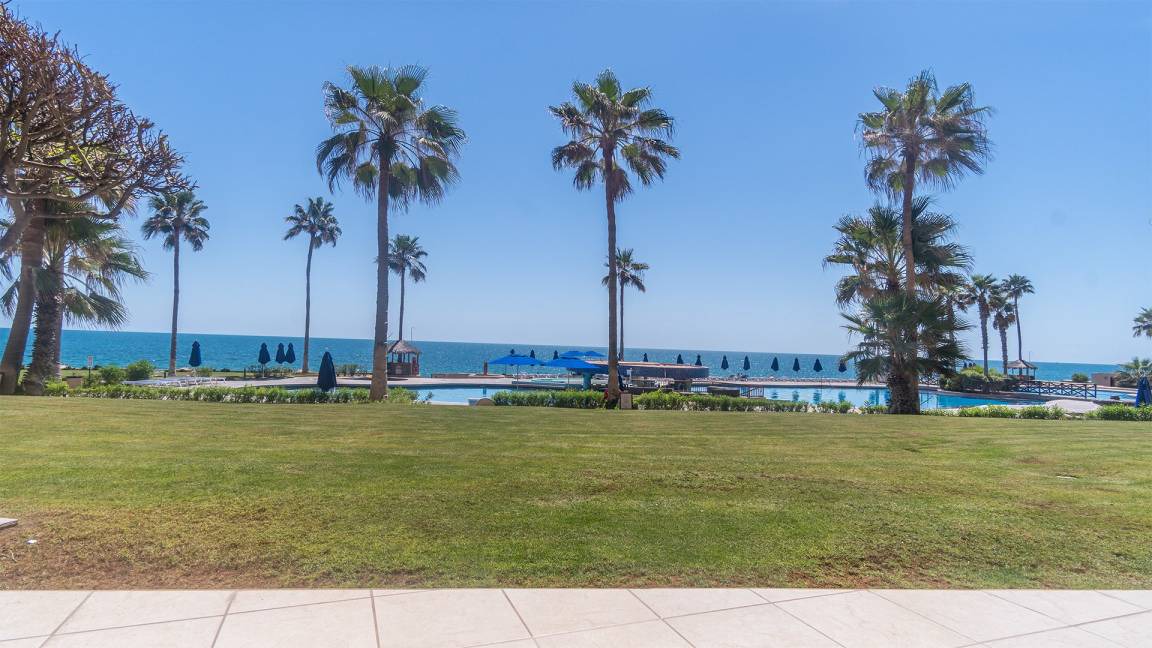 Photo of Others in Puerto Penasco