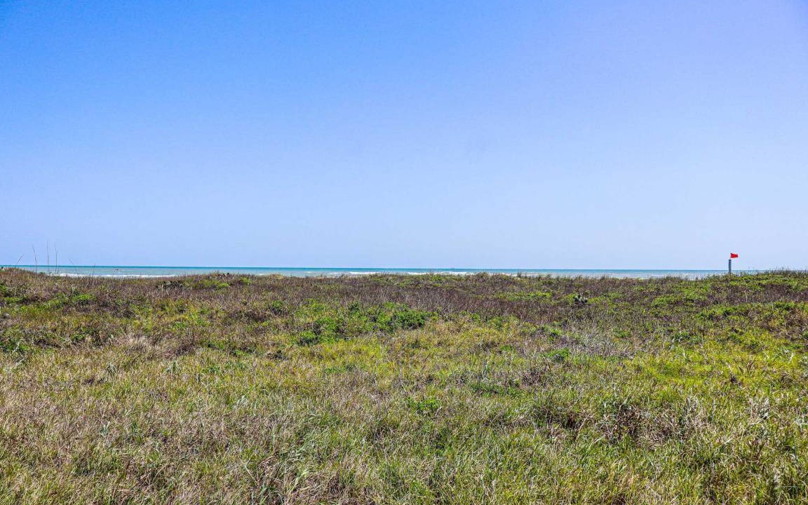 Photo of Others in South Padre Island