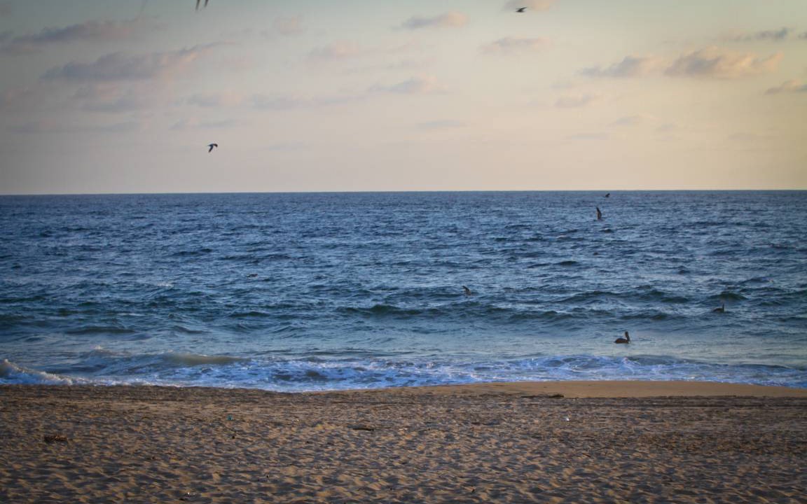 Photo of Others in Acapulco