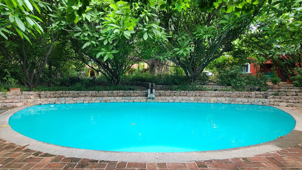 Photo of Outdoor in Loma de Guadalupe