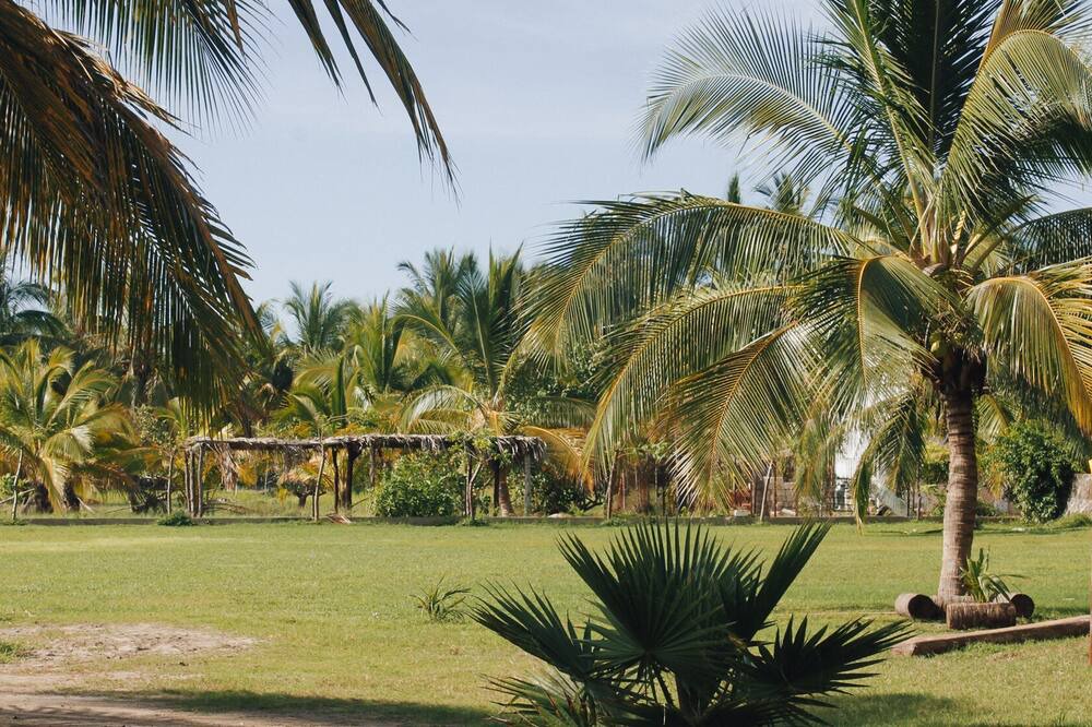 Photo of Outdoor in San Blas