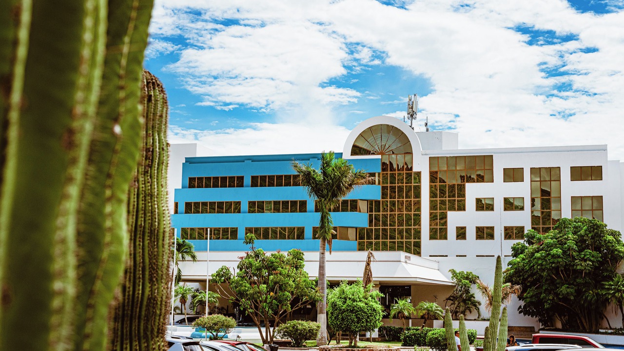 Photo of Outdoor in San Carlos