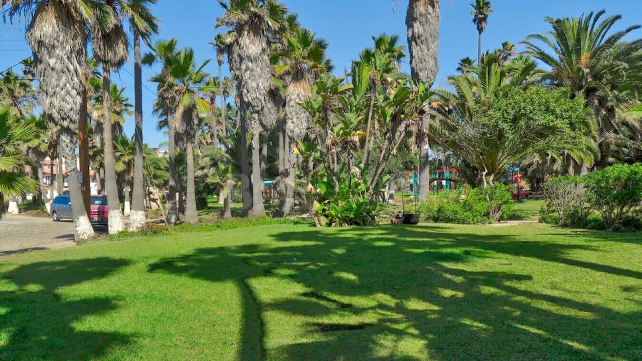 Photo of Others in San Antonio del Mar