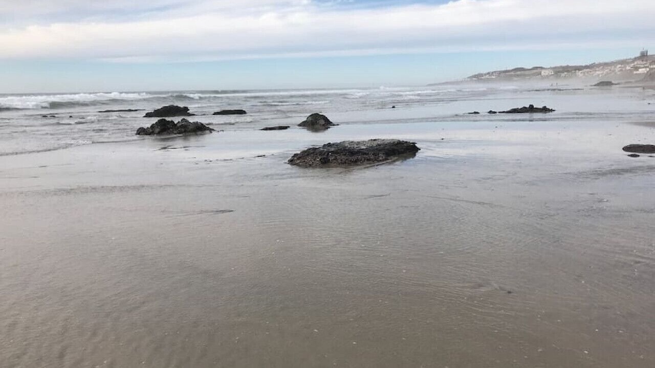 Photo of Others in San Antonio del Mar