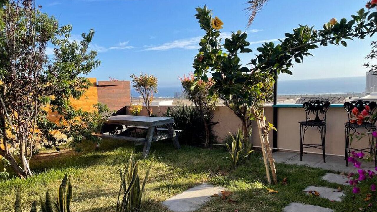 Photo of Outdoor in La Joya