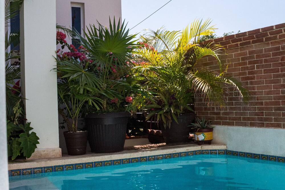 Photo of Outdoor in La Gloria