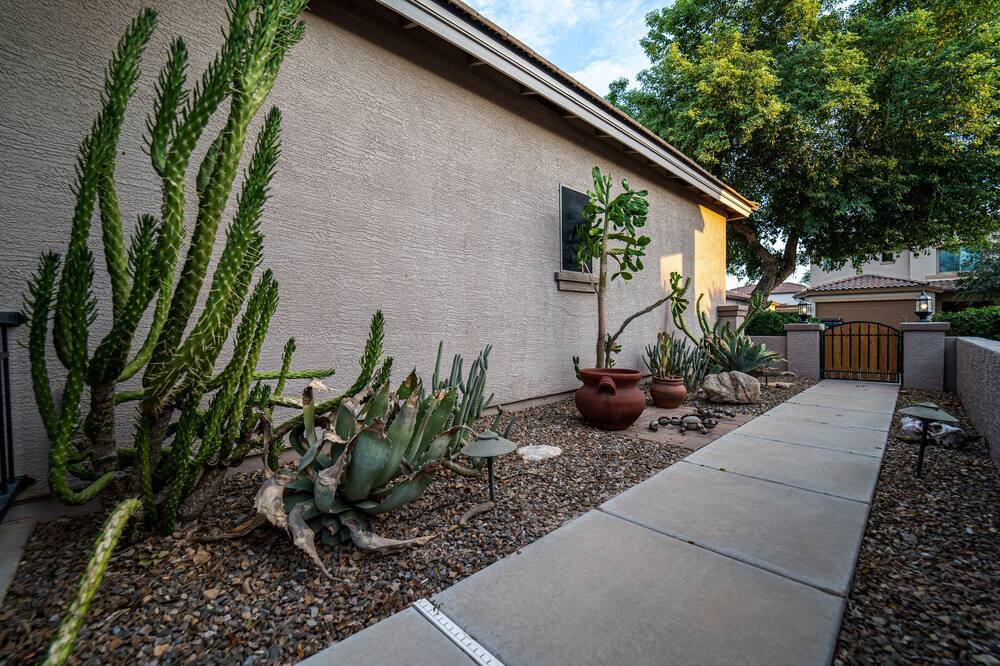 Photo of Others in San Tan Valley