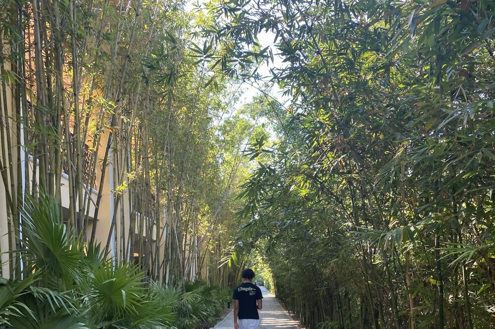 Photo of Outdoor in Playacar Fase II