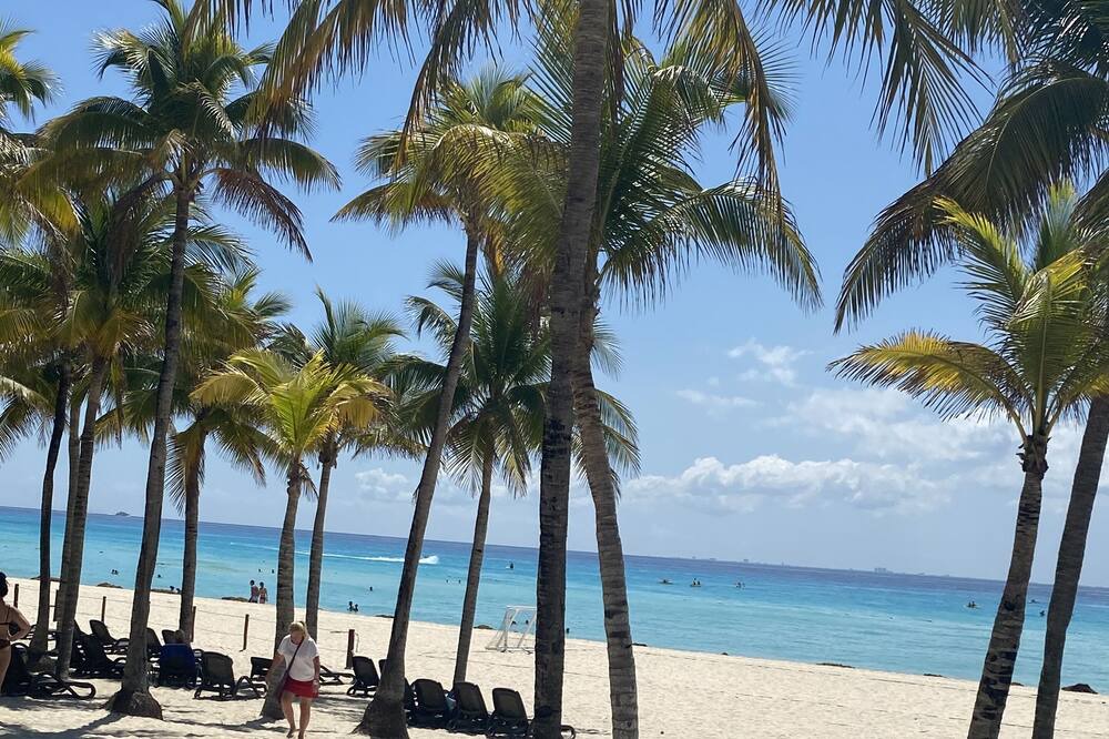 Photo of Others in Playacar Fase II