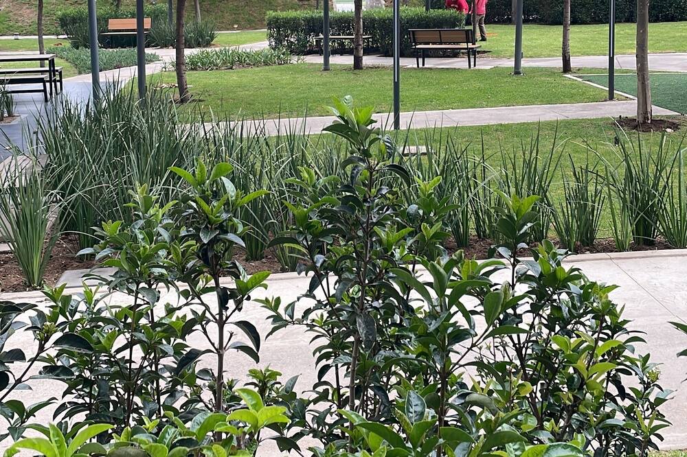 Photo of Outdoor in Guadalajara