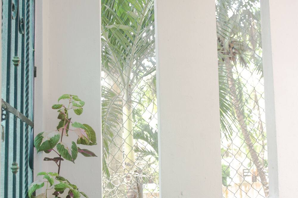 Photo of Outdoor in Centro