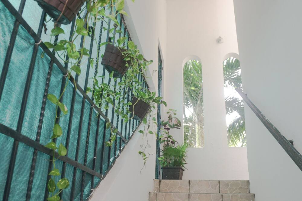 Photo of Outdoor in Centro