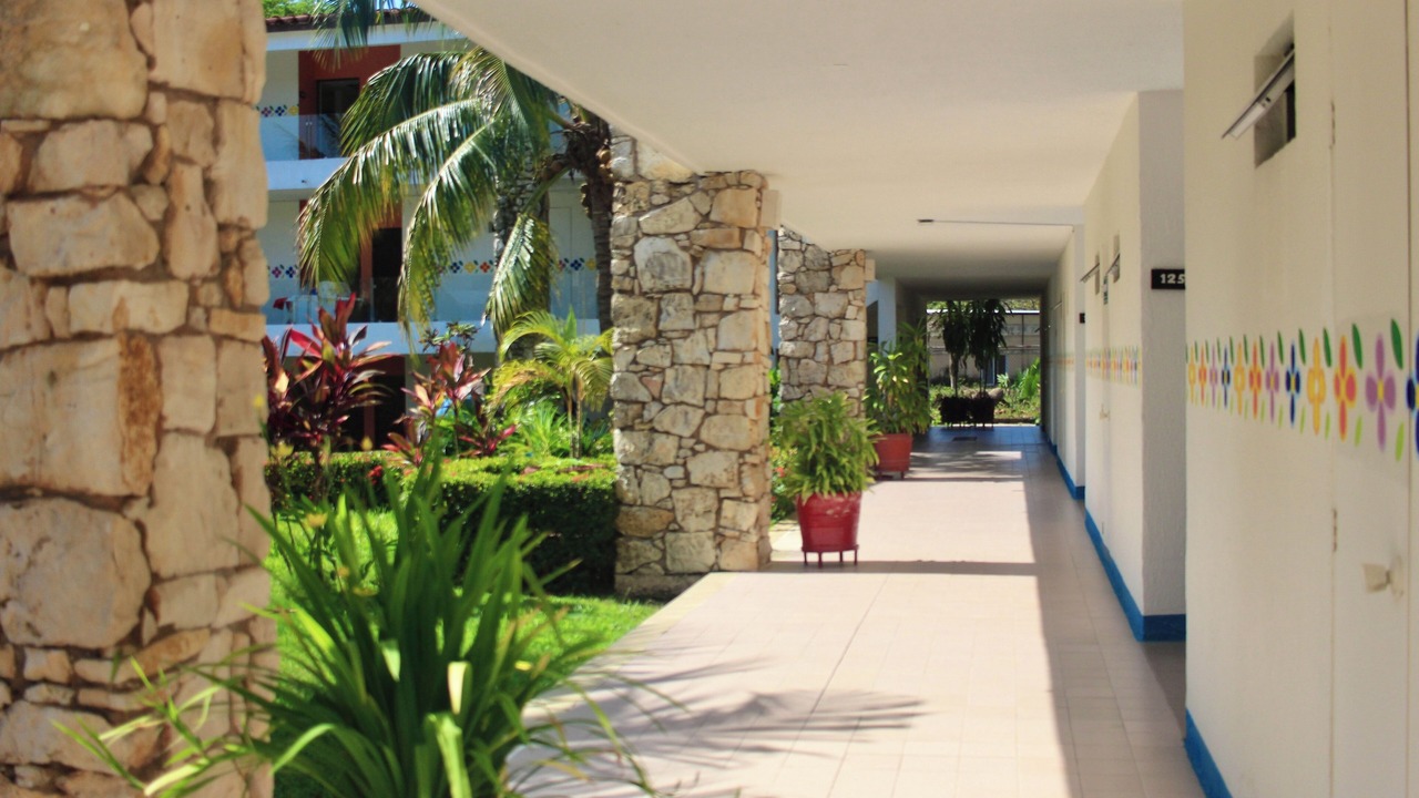 Photo of Outdoor in Palenque